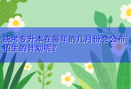 統(tǒng)考專升本在每年的幾月份會公布招生的計劃呢？