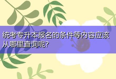 統(tǒng)考專升本報(bào)名的條件等內(nèi)容應(yīng)該從哪里查詢呢？