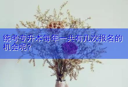 統(tǒng)考專升本每年一共有幾次報(bào)名的機(jī)會(huì)呢？