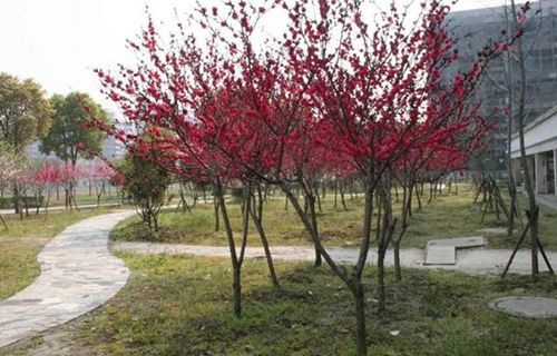 吉林鐵路經(jīng)濟(jì)學(xué)校鐵道工程技術(shù)專(zhuān)業(yè)怎么樣