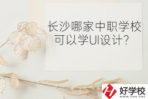 長沙哪家中職學(xué)?？梢詫W(xué)UI設(shè)計？