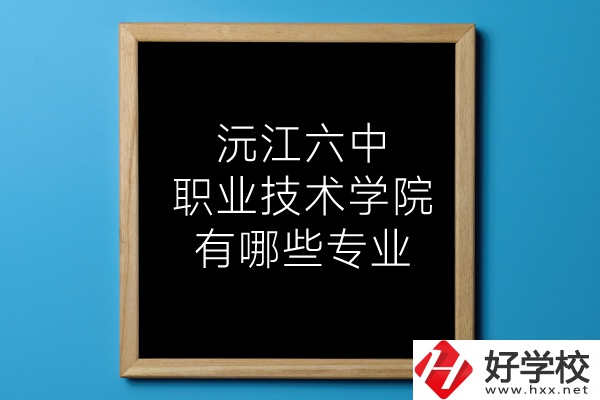 湖南沅江六中職業(yè)技術(shù)學(xué)院有哪些專(zhuān)業(yè)？