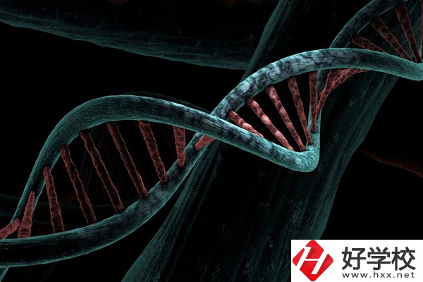 溆浦縣職業(yè)中等專業(yè)學(xué)校宿舍怎么樣？