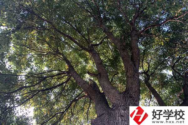 湖南省商業(yè)職業(yè)中專學(xué)校在哪里？升學(xué)就業(yè)怎么樣？