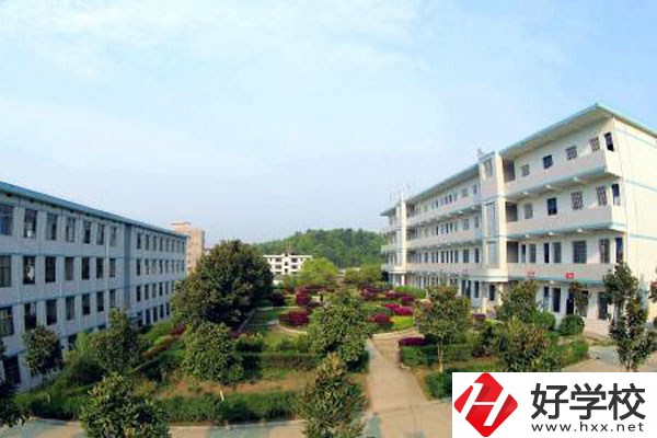 邵陽縣工業(yè)職業(yè)技術學校有哪些特色？