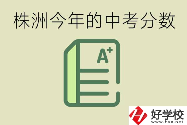 株洲今年中考多少分能上高中？沒考上有什么選擇？