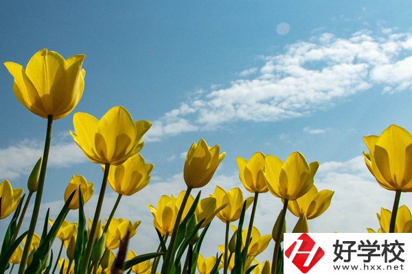 岳陽有開設工業(yè)機器人技術應用專業(yè)的中職學校嗎？
