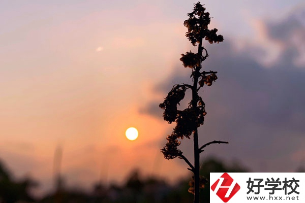 邵陽哈博職業(yè)中專學校好不好？有什么辦學特色？