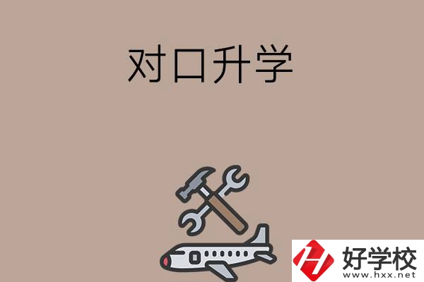 職高學生參加湖南省對口升學，有什么本科可以報考？