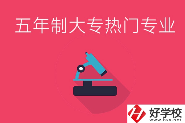 湖南五年制大專最熱門的專業(yè)有哪些？