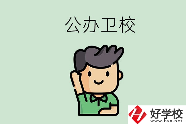湖南的公辦衛(wèi)校有哪些？這兩所學(xué)校值得推薦！