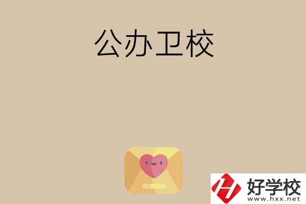 想在湖南上公辦衛(wèi)校？這所學(xué)校值得一看