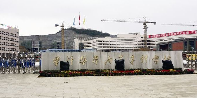 畢節(jié)醫(yī)藥高等專科學(xué)校校門(mén)