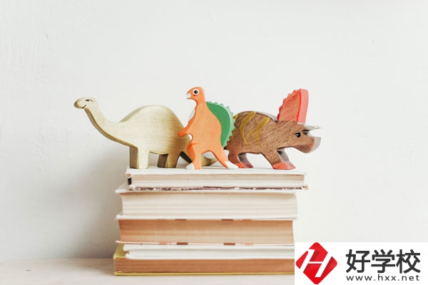 懷化啟航衛(wèi)生學(xué)校辦學(xué)地址在哪兒？