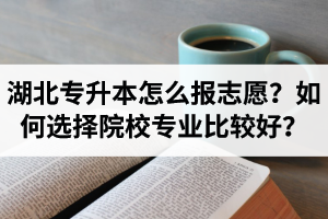湖北省專升本怎么報(bào)志愿？如何選擇填報(bào)院校專業(yè)比較好？