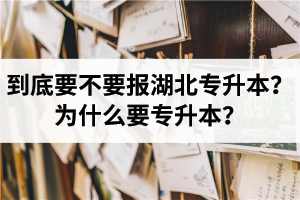 到底要不要報(bào)湖北專升本？為什么要專升本？