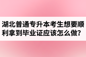 湖北普通專升本考生想要順利拿到畢業(yè)證應(yīng)該怎么做？