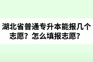 湖北省普通專升本能報幾個志愿？怎么填報志愿？