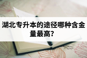 湖北普通專升本英譯漢段落翻譯分析應(yīng)該怎么做？
