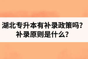湖北專升本有補錄政策嗎？補錄原則是什么？