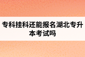 ?？茠炜七€能報名湖北專升本考試嗎？在哪里能獲取最新的專升本資訊？