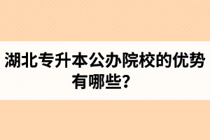 湖北專升本公辦院校的優(yōu)勢有哪些？為什么大家都想報公辦學(xué)校？
