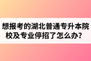 想報(bào)考的湖北普通專升本院校及專業(yè)停招了怎么辦？