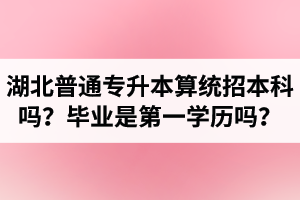 湖北普通專升本算統(tǒng)招本科嗎？專升本學(xué)歷是第一學(xué)歷嗎？