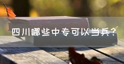 四川哪些中?？梢援?dāng)兵？(圖1)