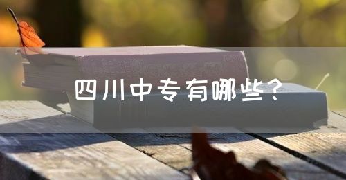 四川中專有哪些？(圖1)