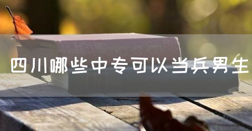 四川哪些中?？梢援敱猩?圖1)