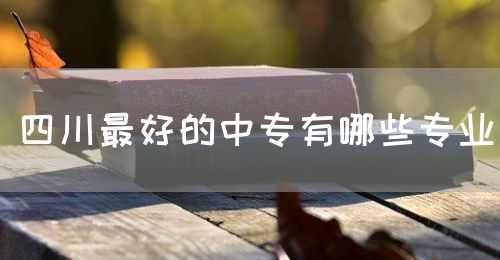 四川最好的中專有哪些專業(yè)？(圖1)