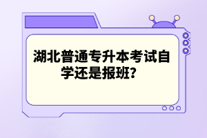 湖北普通專升本考試自學(xué)還是報(bào)班？