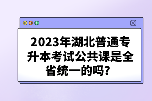 2023年湖北普通專升本考試公共課是全省統(tǒng)一的嗎？