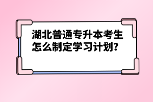湖北普通專升本考生怎么制定學習計劃？