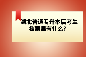 湖北普通專升本后考生檔案里有什么？
