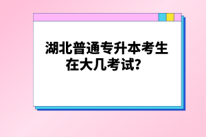 湖北普通專升本考生在大幾考試？