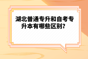 湖北普通專升和自考專升本有哪些區(qū)別？