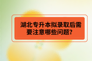 湖北專(zhuān)升本擬錄取后需要注意哪些問(wèn)題？