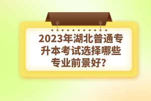 2023年湖北普通專(zhuān)升本考試選擇哪些專(zhuān)業(yè)前景好？
