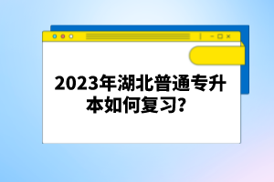 2023年湖北普通專升本如何復習？