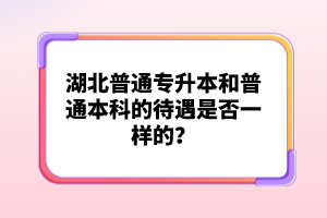 湖北普通專升本和普通本科的待遇是否一樣的？