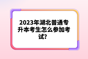 2023年湖北普通專升本考生怎么參加考試？