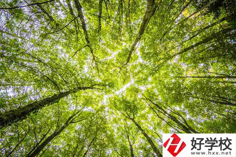 湘西州有哪些公辦中職學(xué)校？