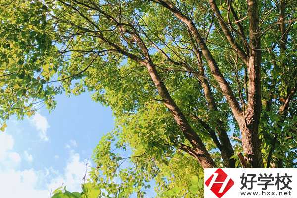 衡陽南華科技學(xué)校教學(xué)質(zhì)量怎么樣？