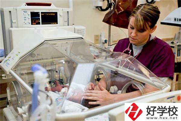 湖南中職學(xué)校開設(shè)最多的專業(yè)有哪些？就業(yè)前景怎么樣？