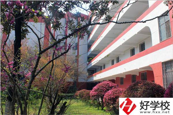 婁底有哪些技校？哪一所比較好？