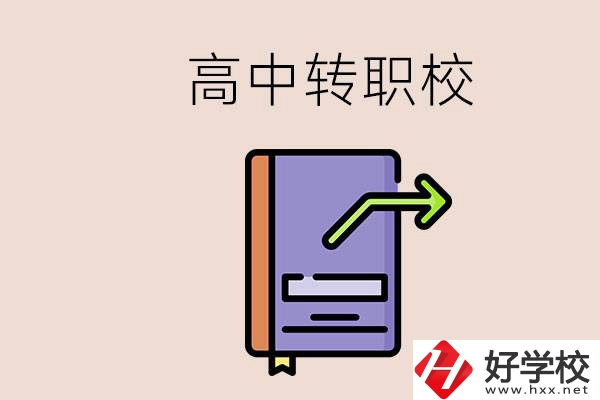 有在讀高中不想讀轉(zhuǎn)職校的例子嗎？能轉(zhuǎn)到湖南職校嗎？