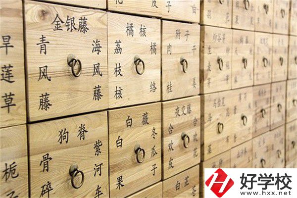 湖南省哪些中職有中藥專業(yè)？