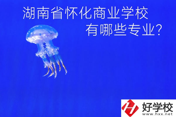 湖南省懷化商業(yè)學(xué)校好不好？有哪些專業(yè)？